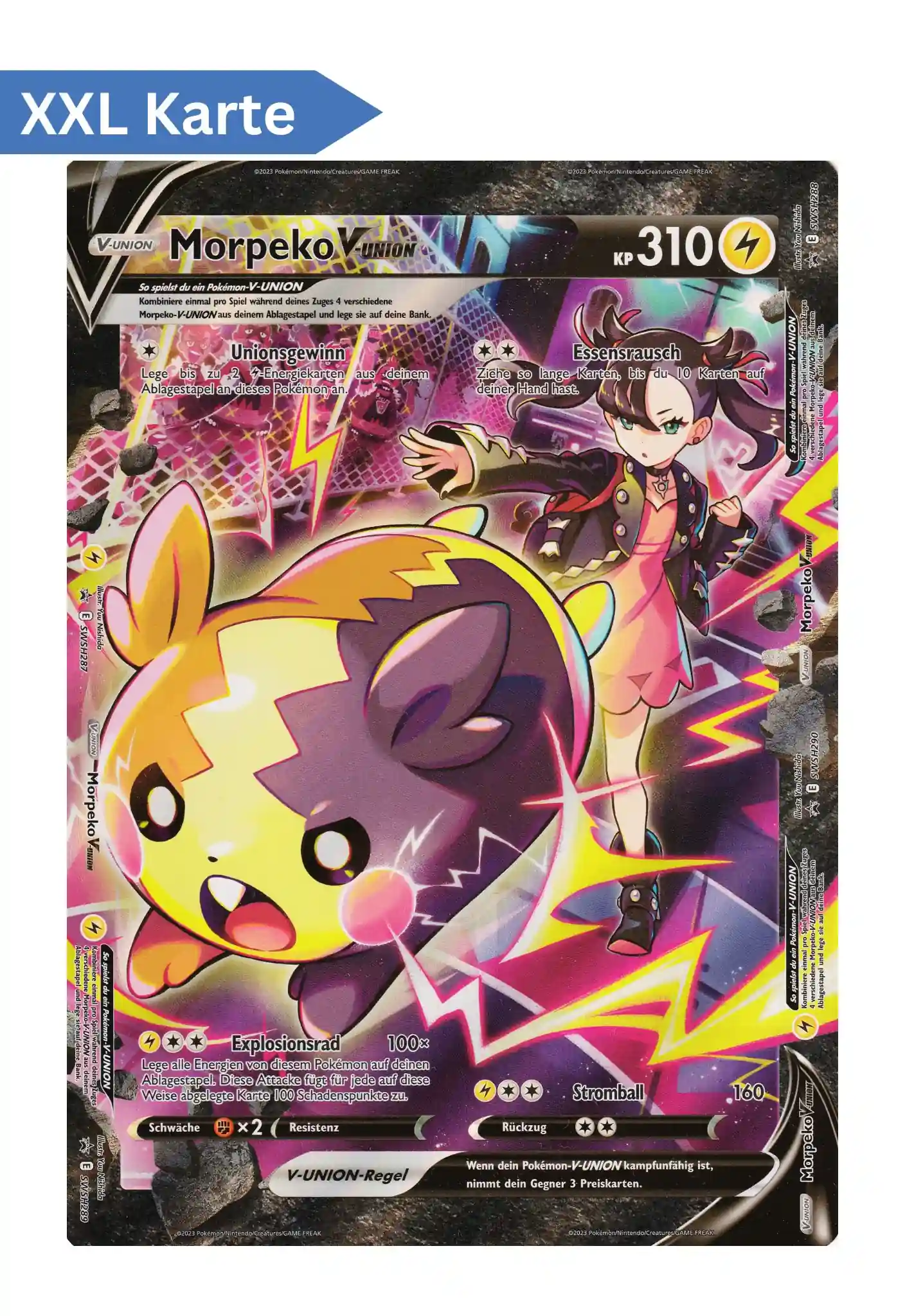 Große Pokemon Sammelkarte